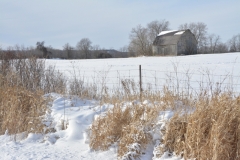 Barn-Winter-PEC-3649