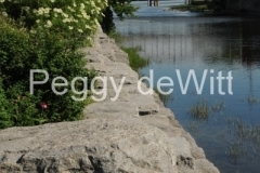 Belleville-Bridge-River-Spring-v-2779
