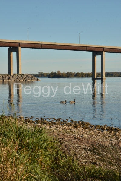 Belleville Bridge 2013 (v) #3097