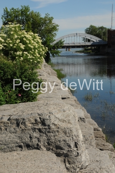 Belleville Bridge River Spring (v) #2779