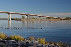 Belleville Bridge Geese #3100