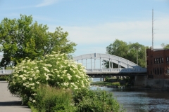 Belleville Bridge River Spring #2778