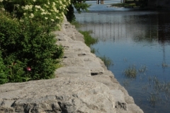 Belleville Bridge River Spring (v) #2779