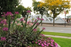 Belleville Fall Bridge Flowers #2785