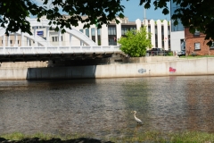 Belleville Moira River #2465