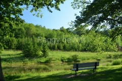 Picton-Macaulay-Conservation-Bench-3952