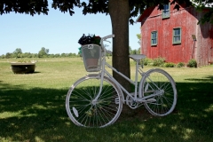Bike White Melville #3133