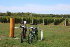 Bikes Sugarbush #3135