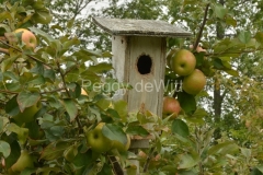 Birdhouse-Apples-Green-3105