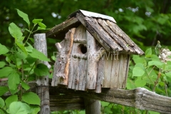 Birdhouse-Sticks-3110