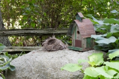 Birdhouse-Nest-3655