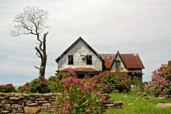Black-River-Old-House-Lilacs-640-8x12