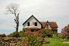 Black River Old House Lilacs #640 8x12