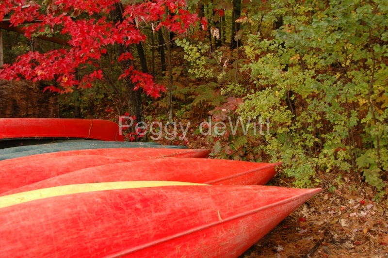 Bon Echo Park Red Canoes #1778