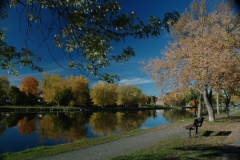 Campbellford Fall #1649