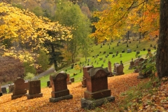 Cemetery Glenwood  Fall #3085