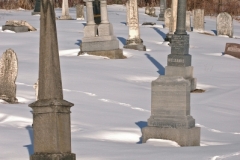 Cemetery South Bay Winter#698