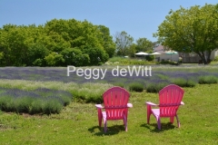 Chairs Pink Lavender #3542