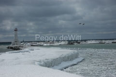 Cobourg-Marina-Winter-1341