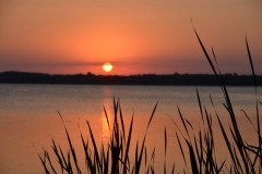 East Lake Bullrushes Sunset #2960