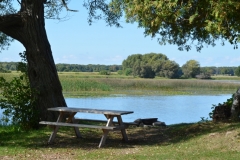 East Lake Picnic Table #2966