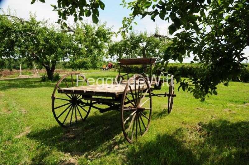 Farm Wagon Rednersville #2503