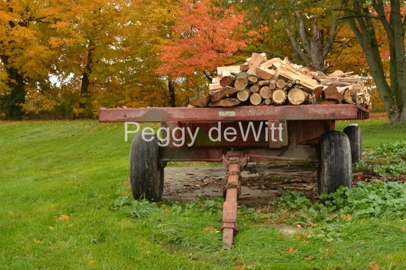 Wagon Firewood #3446