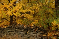 Fence Rock Fall #662