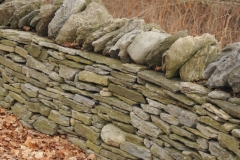 Fence Stone Amherst Island #2506