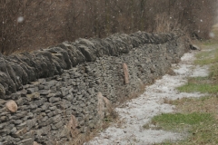 Fence Stone Amherst Island Snowing #2507