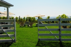 Vineyard Waupoos Cider Co Fence #2715