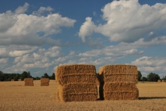 Bales Straw Large #2852