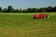 Field Alfalfa Red Wagon #2518