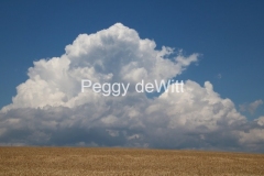 Field Cloud Grain Closeup #3196