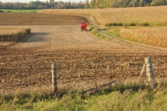 Field Corn Red Wagon #2993