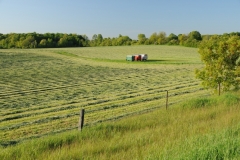 Field Haylage Wagons #1824