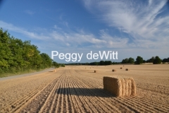 Field Straw Bales Square Sky #3029