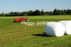 Field Wagon Bales #2517