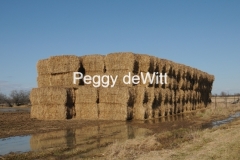 Hay Bales Wellington #2392