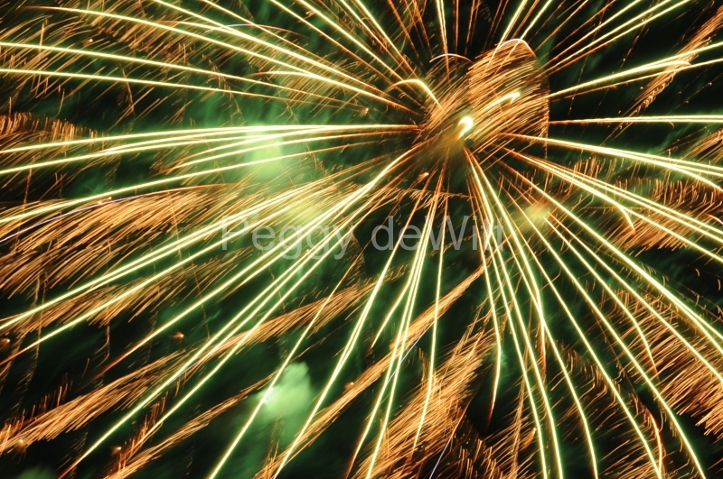 Fireworks Canada Day 6 #1607