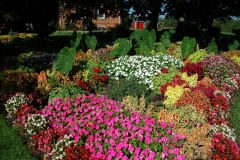 Flower Garden #948