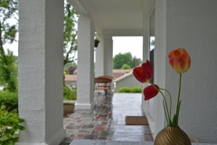 Flowers Tulips Porch #3244