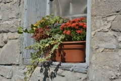 Flowers Window Box Fall #3249