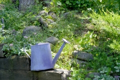 Watering-Can-Blue-3863