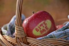 Apple Basket Bite Me #2902