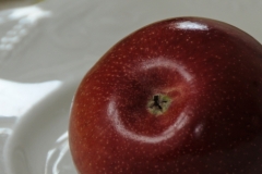 Apple on plate 2 #1682