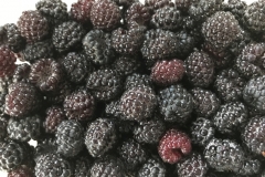 Food-Berries-3650