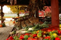 Vegetable Stand Picton 05 (v) #718 Hagerman