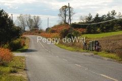 Road-North-Beach-2656