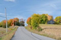 Road-Bethel-Fall-Hill-3942
